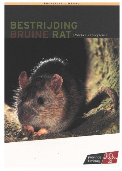 Bruine rat - voorpagina brochure provincie