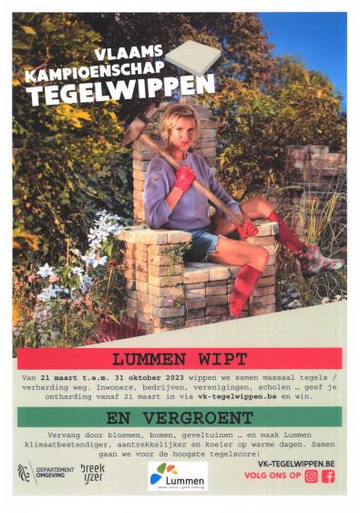 Affiche Lummen, met Tine 