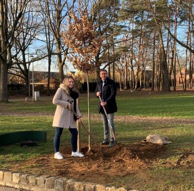 Gouverneursboom - foto aanplant