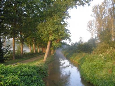 Beek en wandelpad