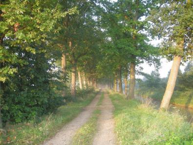 Natuur Lummen 