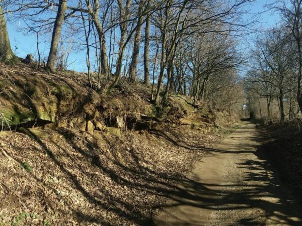 Holle weg Lummen