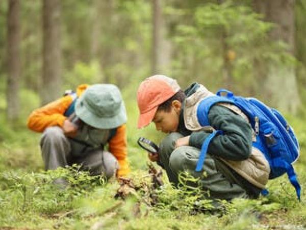 Bezige bevertjes © sportdienst