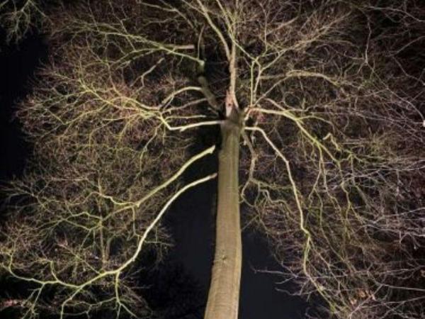 Pitslampentocht © Christophe Vanderlinden