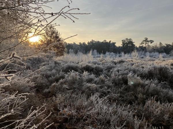 Winterwandeling in de vallei van de Zwarte Beek © Landschap De Liereman