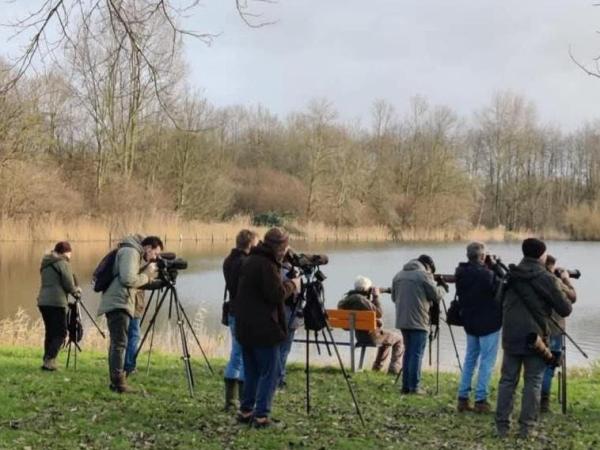 OCHTENDWANDELING SCHULENSMEER EN SCHULENSBROEK © vwg