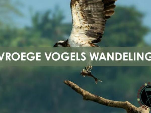 Vroege vogels wandeling © Stad Halen