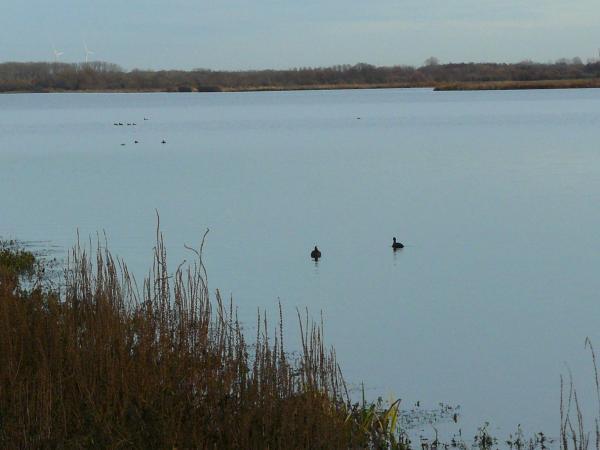 Van wateroverlast tot het ontstaan van het Schulensmeer, Schulen © all rights reserved