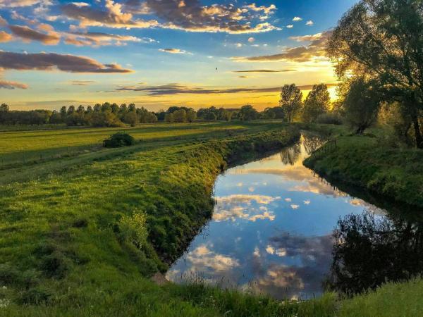 Nazomeren in het Schulensbroek © Maarten Drybooms