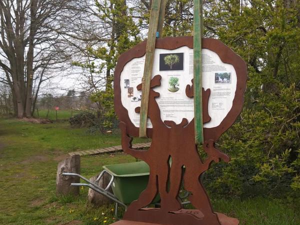 Nieuw monument voor onze 1000-jarige eik