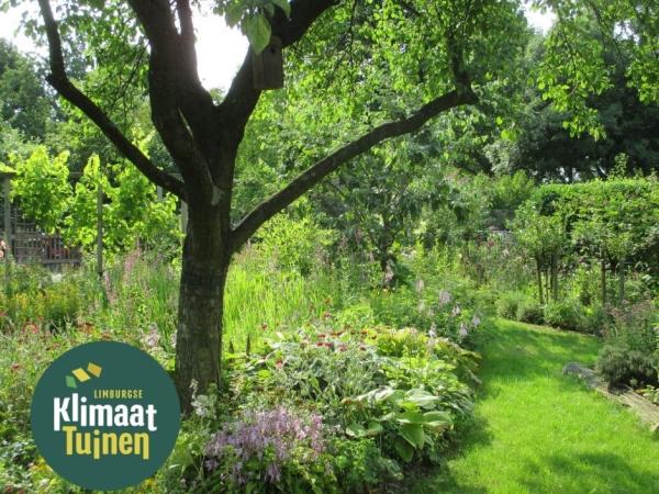 Groengevels en -daken: gratis infoavonden