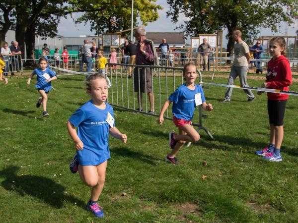 Fotoalbum Scholenveldloop 2017