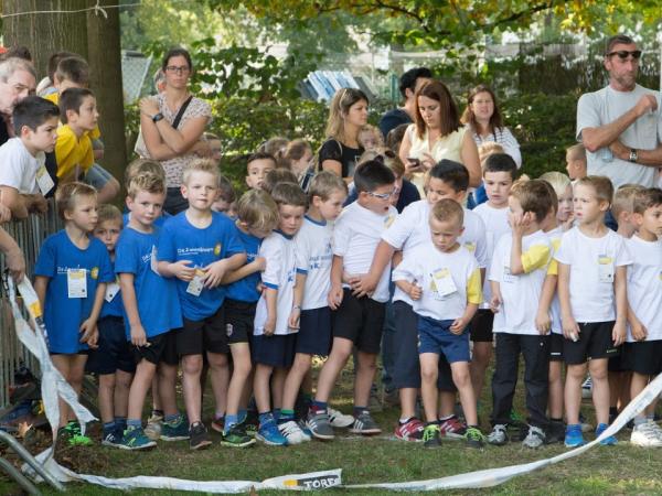 Fotoalbum Scholenveldloop 2017