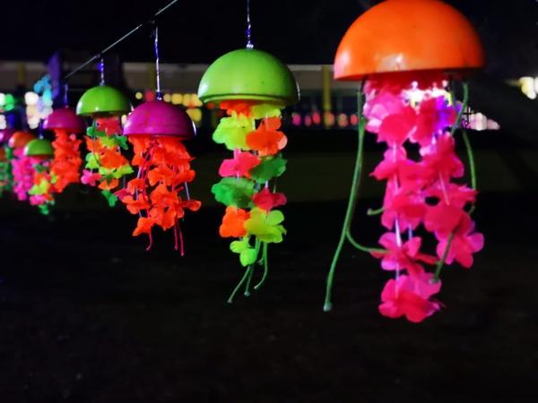 Foto's en filmpjes Lummen for Life 2018