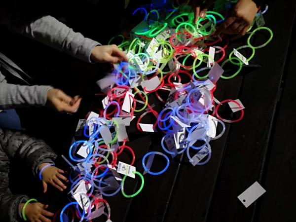 Foto's en filmpjes Lummen for Life 2018