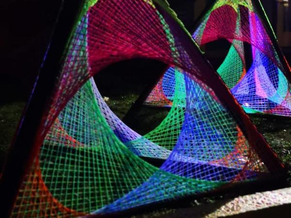 Foto's en filmpjes Lummen for Life 2018