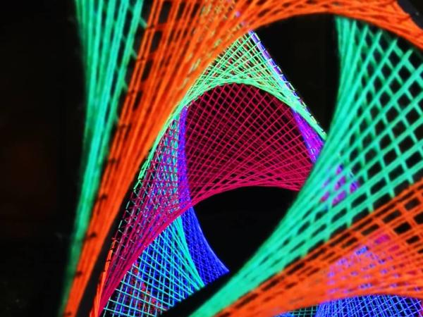 Foto's en filmpjes Lummen for Life 2018