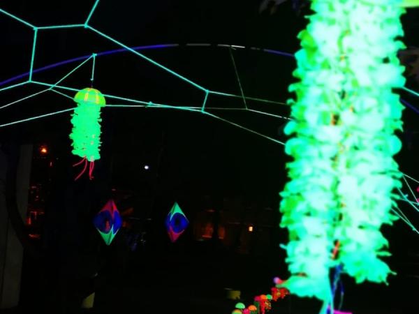 Foto's en filmpjes Lummen for Life 2018