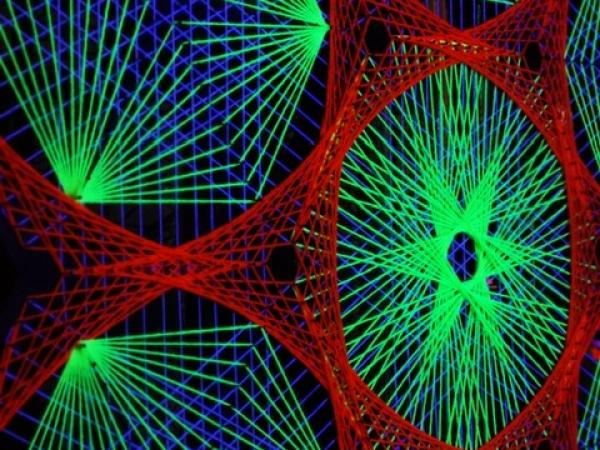 Foto's en filmpjes Lummen for Life 2018