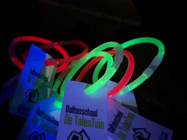 Foto's en filmpjes Lummen for Life 2018