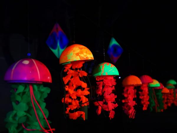 Foto's en filmpjes Lummen for Life 2018