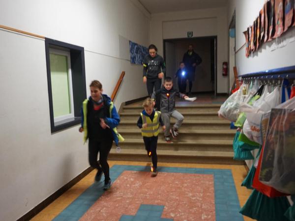 Foto's en filmpjes Lummen for Life 2018