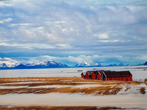 Creatief Lummen - Prijs Beeldende Kunsten 