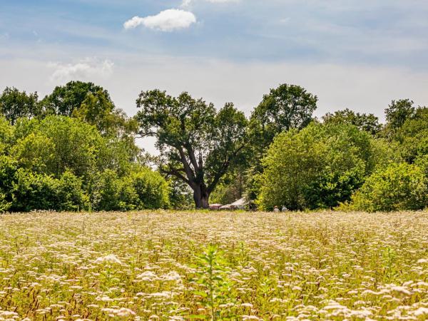 Domein Duizendjarige Eik