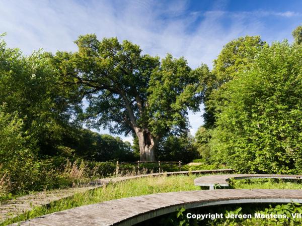 Domein Duizendjarige Eik