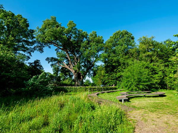 Domein Duizendjarige Eik