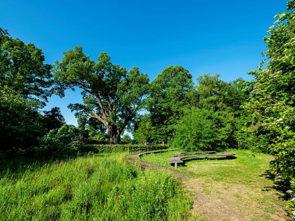 Domein Duizendjarige Eik