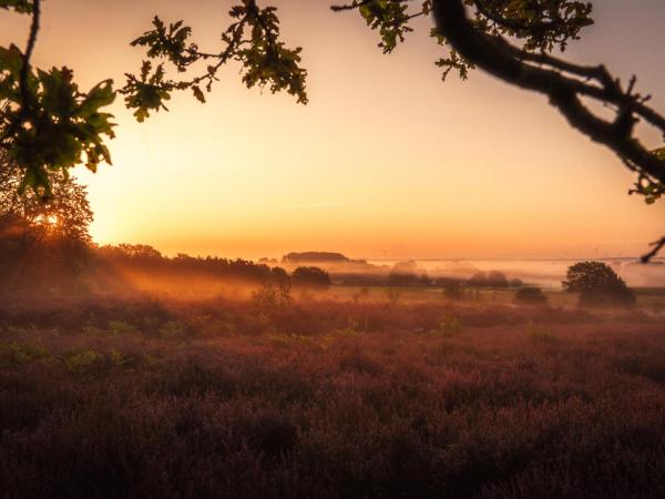 Vallei van de Zwarte Beek