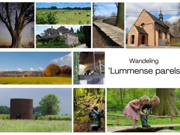 Lummense Parels
