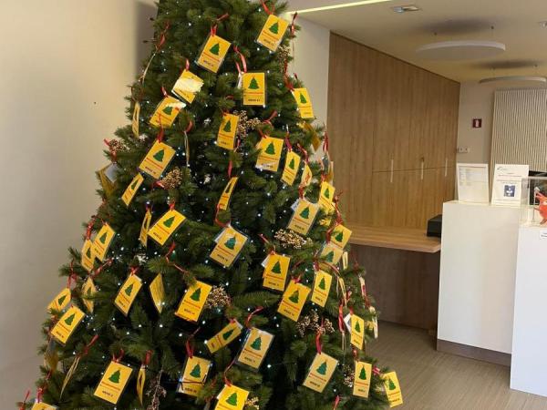 Pluk een wens uit de wensboom