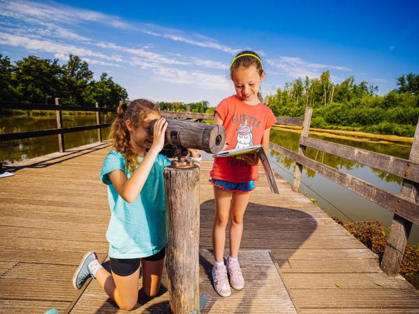 Ontdek het land van 1001 vijvers met Robbie Roerdomp