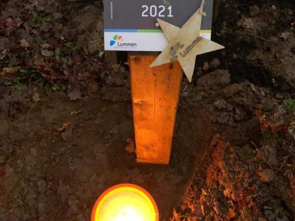 Wereldlichtjesdag en koesterweek