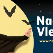 Nacht van de vleermuis | Schulensmeer en Schulensbroek (Lummen) © Natuurpunt