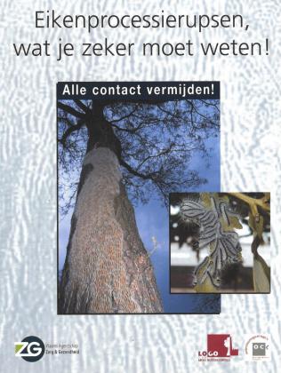 Eikenprocessierupsen