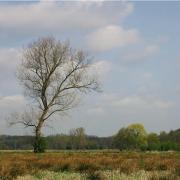 Bocht van Laren - sterrenplekje