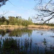 Wandelgebied Thiewinkel