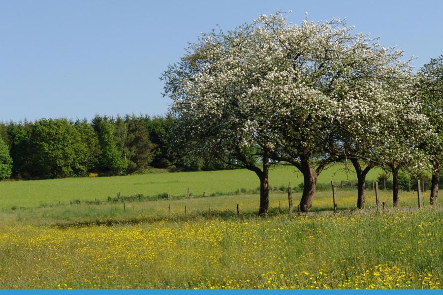 50 Tinten groen route