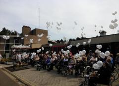 Ballonwedstrijd