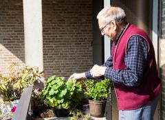 Groene vingers